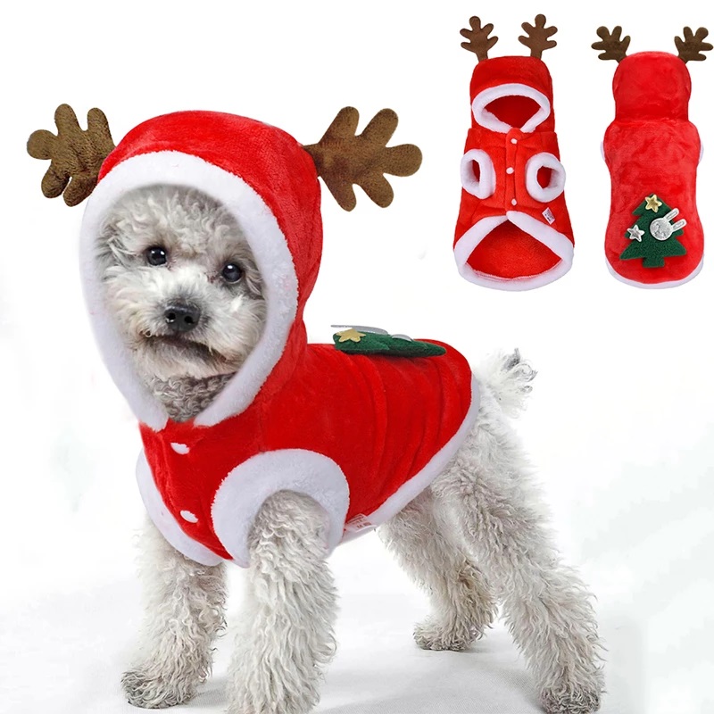 dog X‘mas outfit
